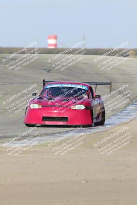 media/Nov-09-2024-GTA Finals Buttonwillow (Sat) [[c24c1461bf]]/Group 4/Session 3 (Outside Grapevine)/